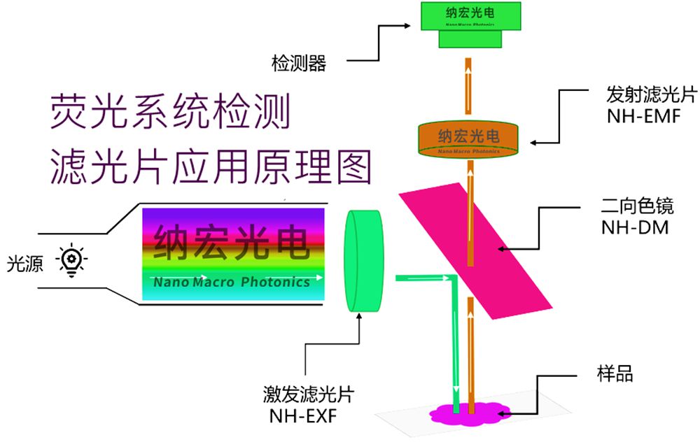 熒光濾光片的工作原理