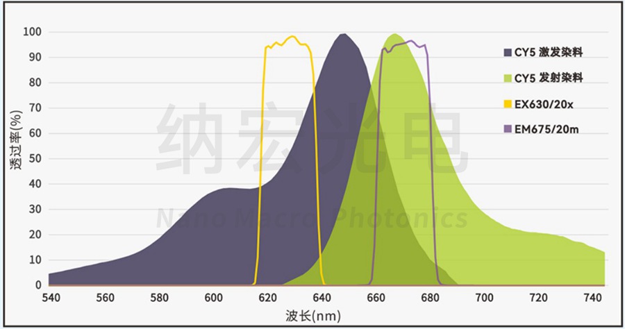 CY5通道濾光片組