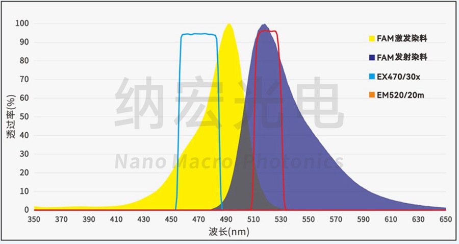 FAM通道濾光片組